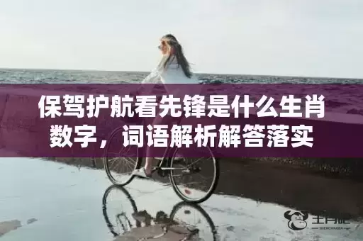保驾护航看先锋是什么生肖数字,词语解析解答落实 保驾护航看先锋是什么生肖数字,词语解析解答落实