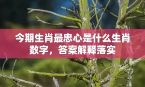 今期生肖最忠心是什么生肖数字，答案解释落实