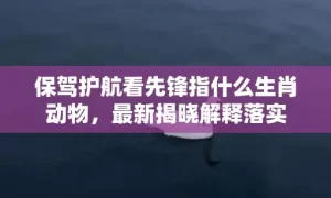 保驾护航看先锋指什么生肖动物，最新揭晓解释落实