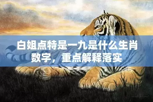 白姐点特是一九是什么生肖数字，重点解释落实