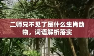 二师兄不见了是什么生肖动物，词语解析落实