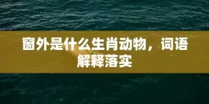 窗外是什么生肖动物，词语解释落实