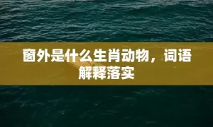 窗外是什么生肖动物，词语解释落实