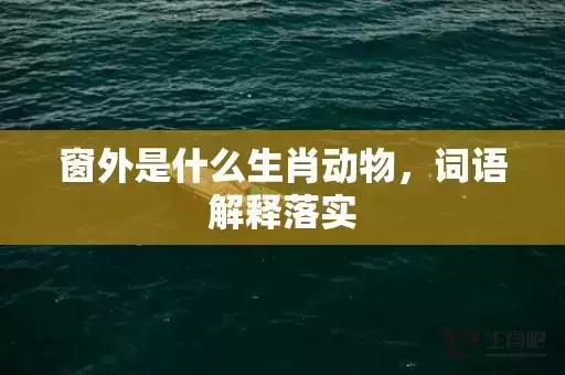 窗外是什么生肖动物,词语解释落实 窗外是什么生肖动物,词语解释落实