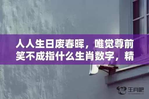 人人生日废春晖，唯觉尊前笑不成指什么生肖数字，精选解释落实