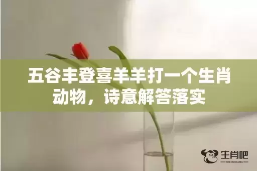 五谷丰登喜羊羊打一个生肖动物，诗意解答落实