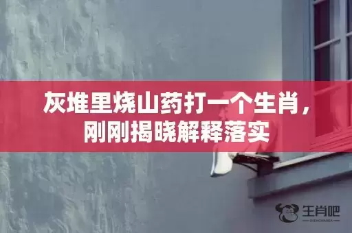 灰堆里烧山药打一个生肖，刚刚揭晓解释落实