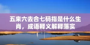 五来六去合七码指是什么生肖，成语释义解释落实