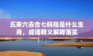 五来六去合七码指是什么生肖，成语释义解释落实