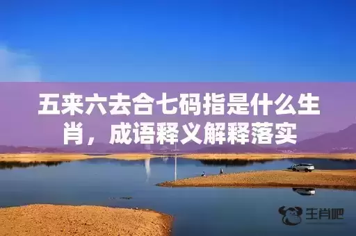 五来六去合七码指是什么生肖，成语释义解释落实