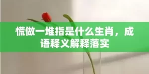 慌做一堆指是什么生肖，成语释义解释落实