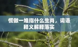 慌做一堆指什么生肖，词语释义解释落实