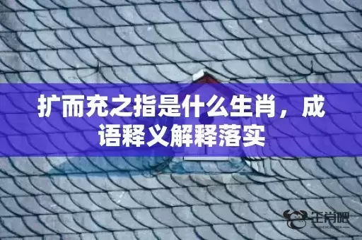 扩而充之指是什么生肖，成语释义解释落实