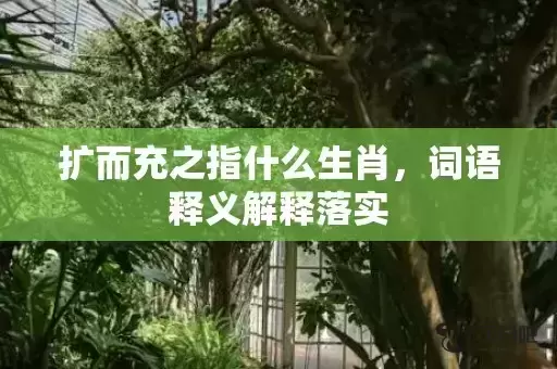 扩而充之指什么生肖,词语释义解释落实 扩而充之指什么生肖,词语释义解释落实