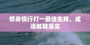 修身慎行打一最佳生肖，成语解释落实