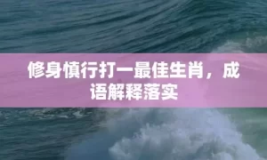 修身慎行打一最佳生肖，成语解释落实