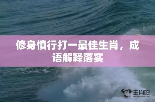 修身慎行打一最佳生肖，成语解释落实
