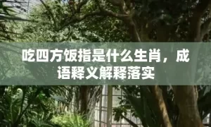 吃四方饭指是什么生肖，成语释义解释落实