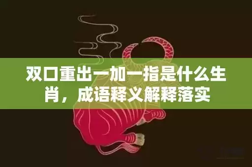 双口重出一加一指是什么生肖，成语释义解释落实