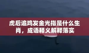 虎后追鸡发金光指是什么生肖，成语释义解释落实