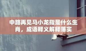 中路再见马小龙指是什么生肖，成语释义解释落实