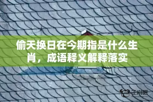 偷天换日在今期指是什么生肖，成语释义解释落实