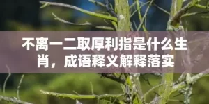 不离一二取厚利指是什么生肖，成语释义解释落实