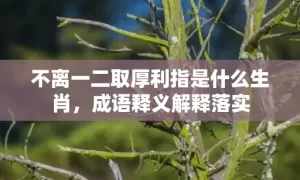 不离一二取厚利指是什么生肖，成语释义解释落实