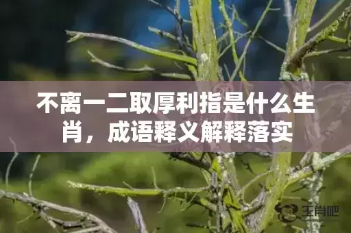 不离一二取厚利指是什么生肖，成语释义解释落实