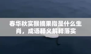 春华秋实猴摘果指是什么生肖，成语释义解释落实