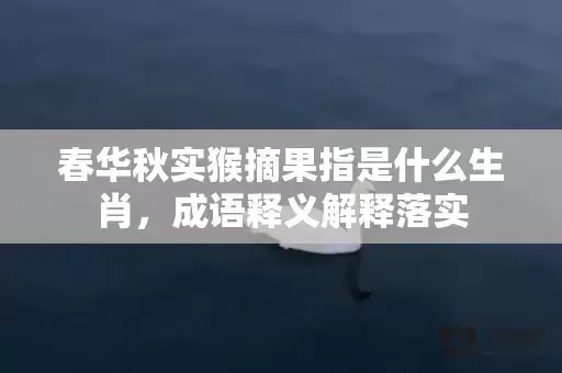 春华秋实猴摘果指是什么生肖,成语释义解释落实 春华秋实猴摘果指是什么生肖,成语释义解释落实