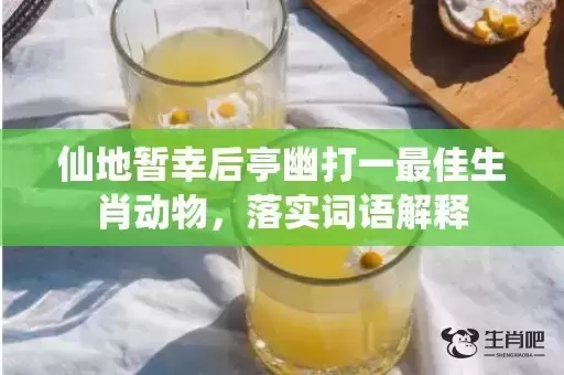 仙地暂幸后亭幽打一最佳生肖动物,落实词语解释 仙地暂幸后亭幽打一最佳生肖动物,落实词语解释