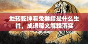 地转乾坤看兔猴指是什么生肖，成语释义解释落实