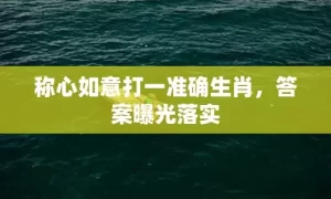 称心如意打一准确生肖，答案曝光落实