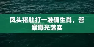 凤头猪肚打一准确生肖，答案曝光落实