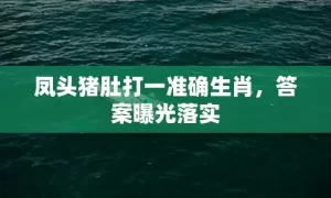 凤头猪肚打一准确生肖，答案曝光落实