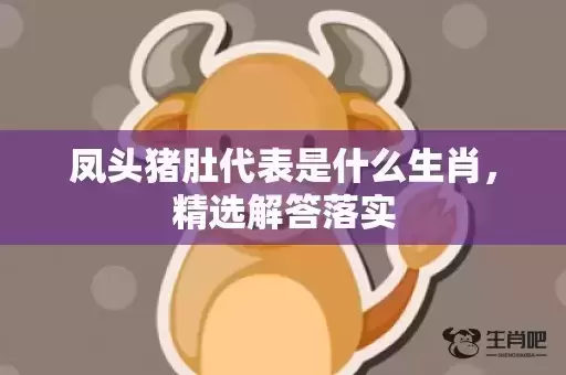 凤头猪肚代表是什么生肖，精选解答落实