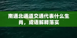 南通北通道交通代表什么生肖，成语解释落实