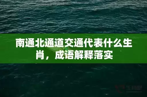 南通北通道交通代表什么生肖,成语解释落实 南通北通道交通代表什么生肖,成语解释落实