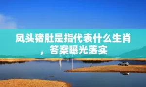 凤头猪肚是指代表什么生肖，答案曝光落实