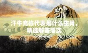 汗牛充栋代表是什么生肖，精选解答落实