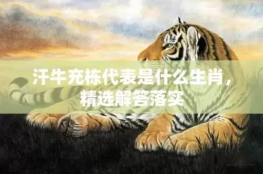 汗牛充栋代表是什么生肖，精选解答落实