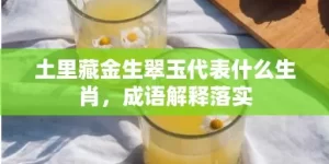 土里藏金生翠玉代表什么生肖，成语解释落实