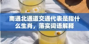 南通北通道交通代表是指什么生肖，落实词语解释