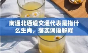 南通北通道交通代表是指什么生肖，落实词语解释