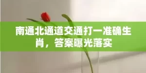 南通北通道交通打一准确生肖，答案曝光落实