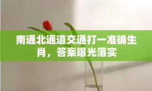 南通北通道交通打一准确生肖，答案曝光落实