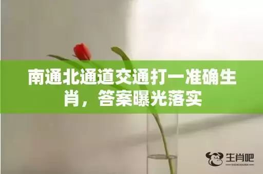 南通北通道交通打一准确生肖，答案曝光落实