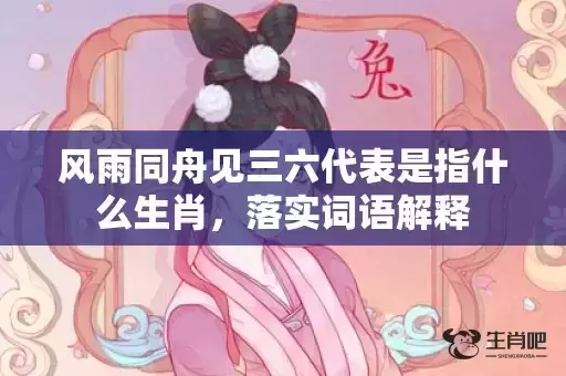 风雨同舟见三六代表是指什么生肖，落实词语解释