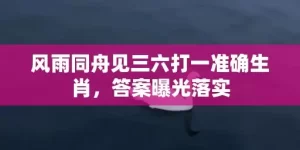 风雨同舟见三六打一准确生肖，答案曝光落实